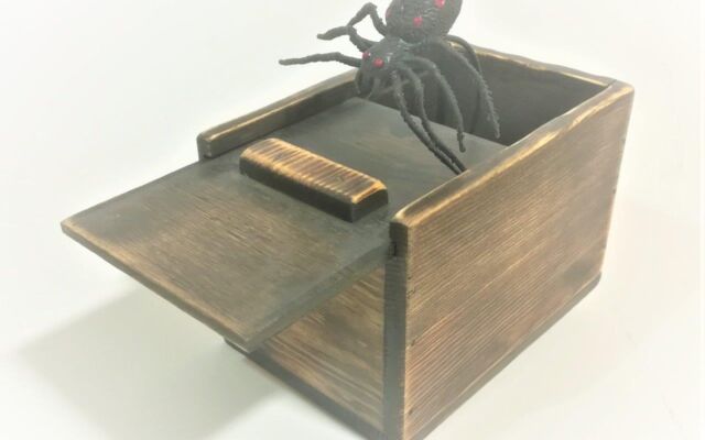 Z-1 zirnekļa kaste ar bīdāmu vāku